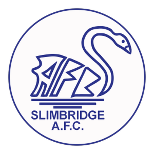 Slimbridge artwork 1