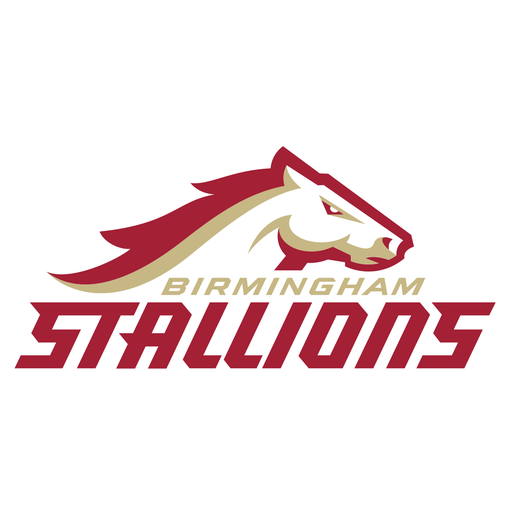 Birmingham Stallions artwork 1