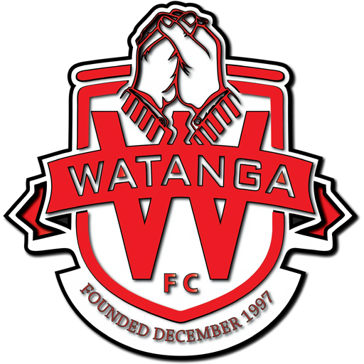 Watanga artwork 1