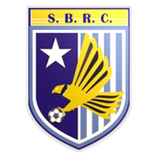 Somerset Eagles artwork 1