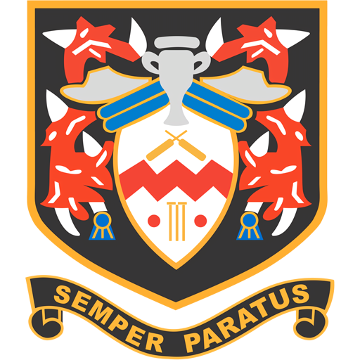 Somerset Trojans artwork 1