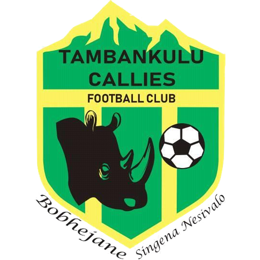 Tambankulu Callies artwork 1