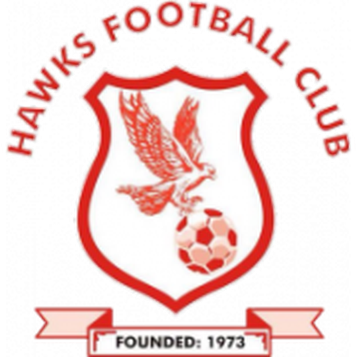 Banjul Hawks FC badge