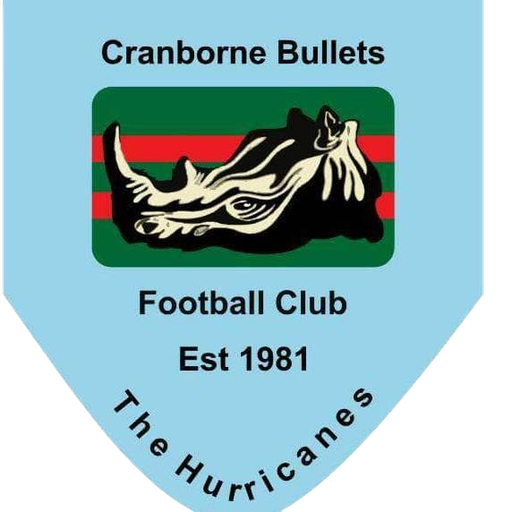 Cranborne Bullets artwork 1