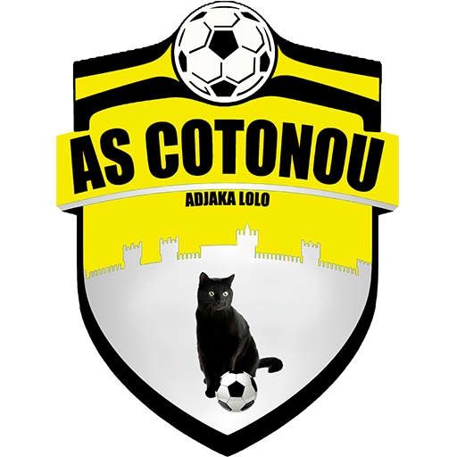 AS Cotonou artwork 1