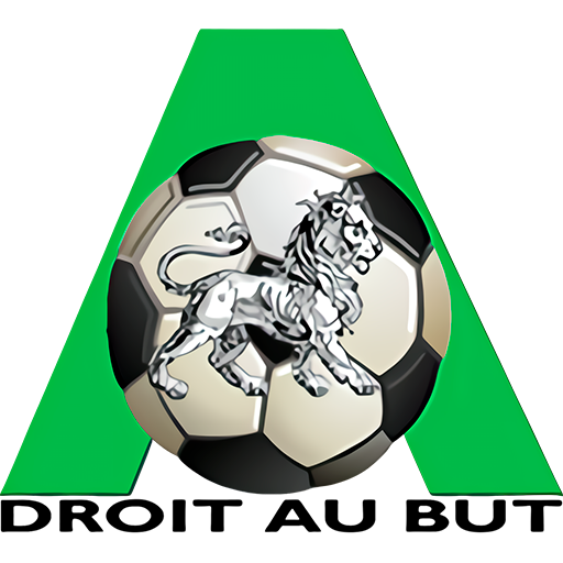 Avrankou Omnisport badge