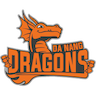 Da Nang Dragons