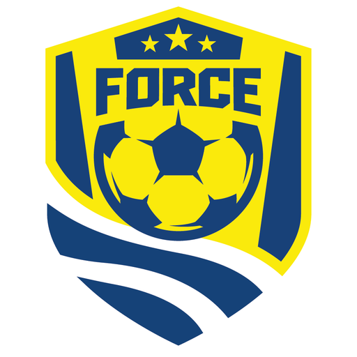 Cleveland Force SC artwork 1