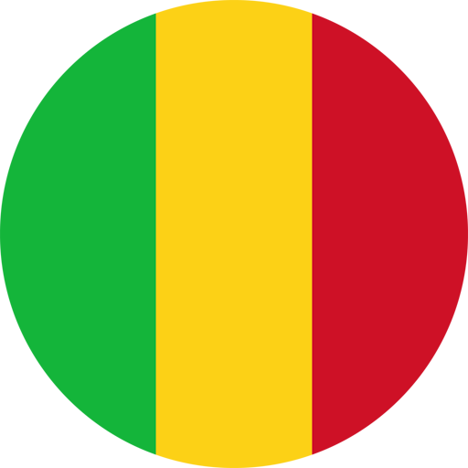 Mali Basketball Women artwork 1