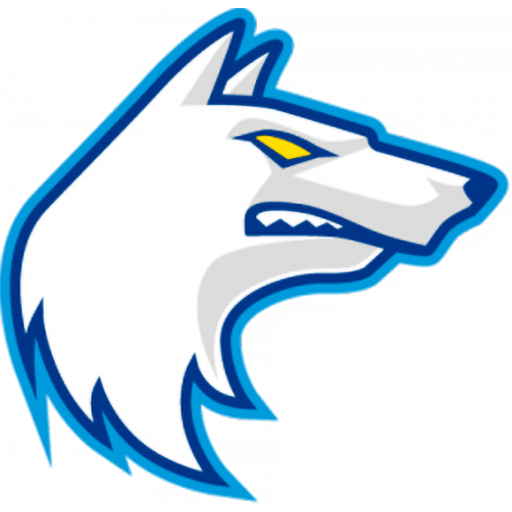 Finland Basketball Women artwork 1