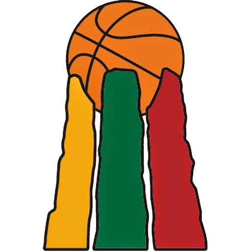 Lithuania Basketball Women artwork 1