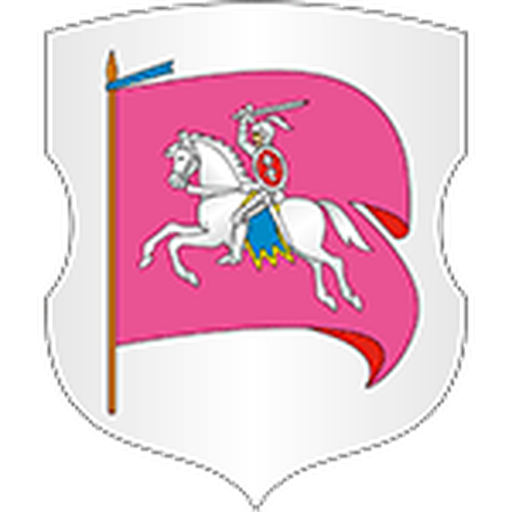 DYuSSh-2 Rechitsa badge