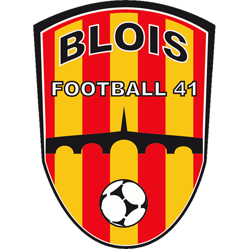 Blois badge