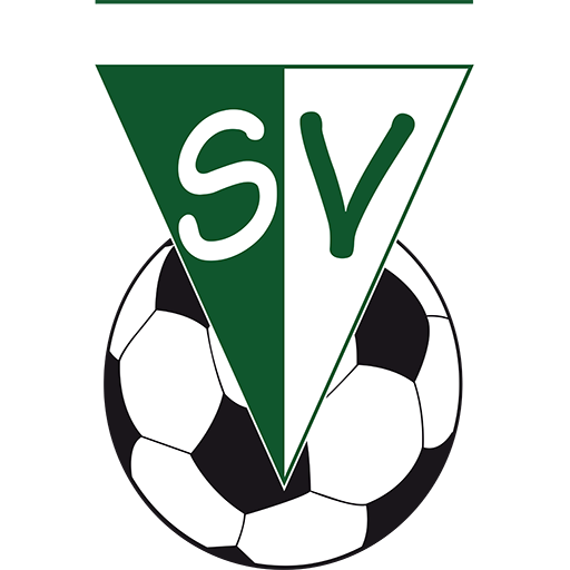 Dornbirner SV artwork 1