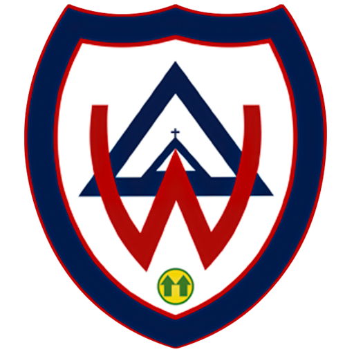 Wilstermann Cooperativa artwork 1