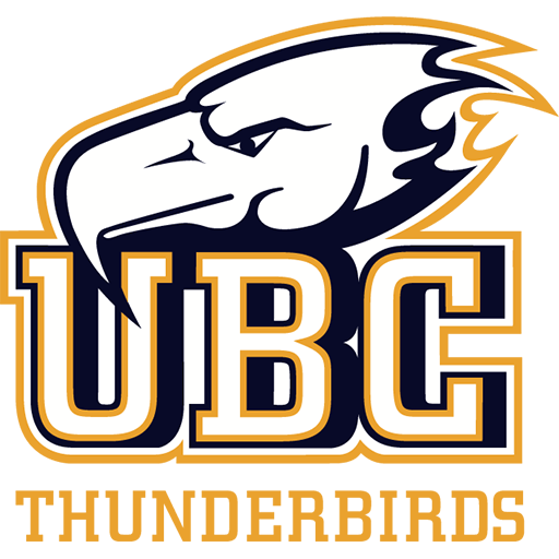 UBC Thunderbirds artwork 1