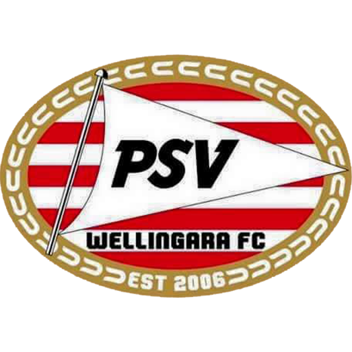 PSV Wellingara artwork 1