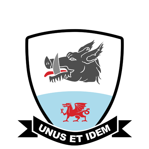 Baglan Dragons badge