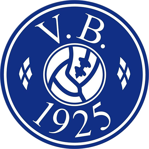 Vejgaard badge
