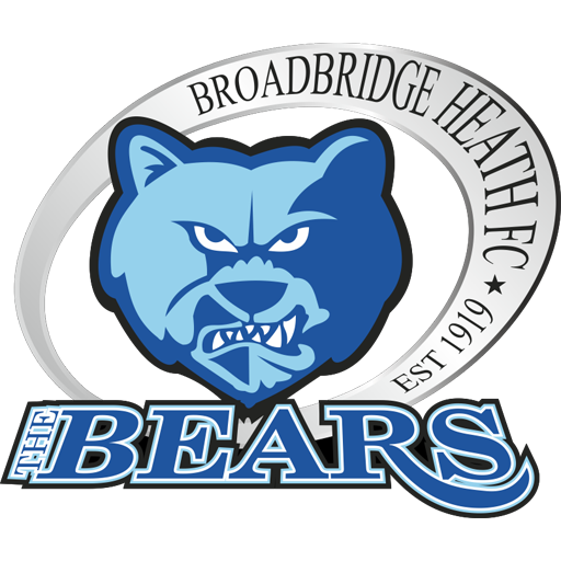 Broadbridge Heath artwork 1