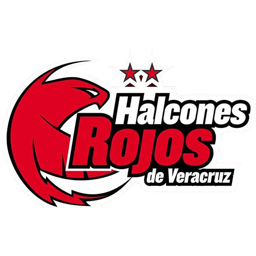 Halcones Rojos Veracruz artwork 1