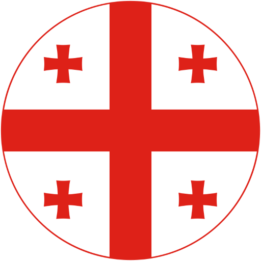 Georgia Swimming badge