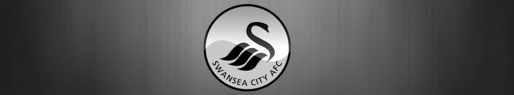 Swansea banner