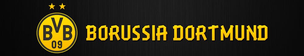 Dortmund banner
