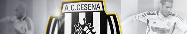 Cesena artwork 4