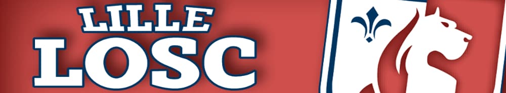 Lille banner