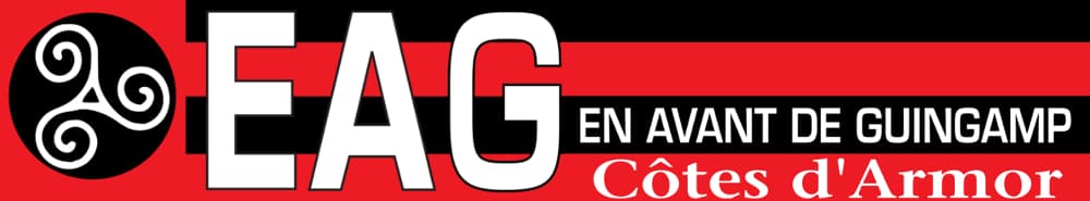 Guingamp banner