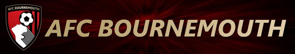 Bournemouth banner