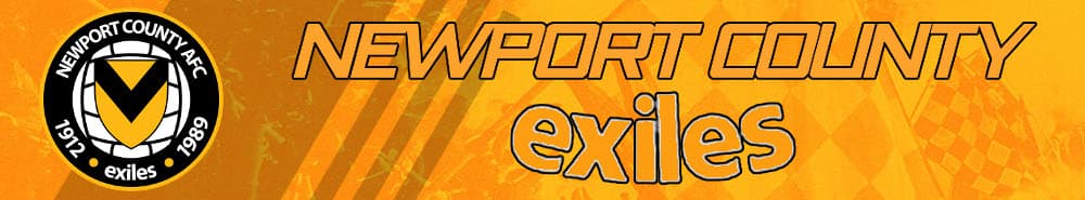 Newport banner