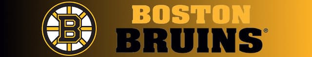 Boston Bruins artwork 4