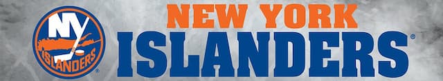 New York Islanders artwork 4