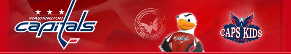 Washington Capitals banner
