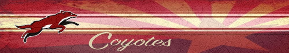 Arizona Coyotes banner