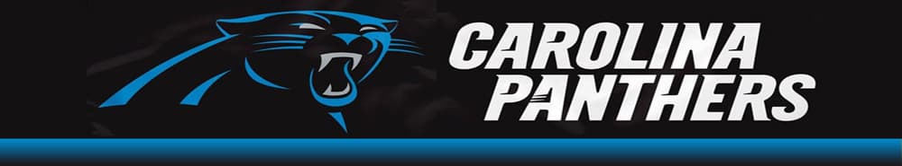 Carolina Panthers banner