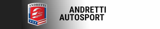Andretti Autosport Indycar artwork 4