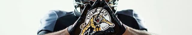 Hamilton Tiger-Cats artwork 4