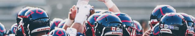 Montreal Alouettes artwork 4