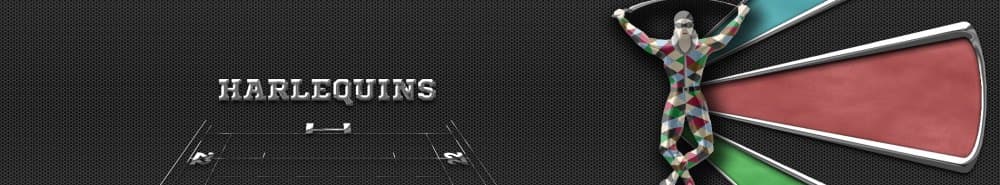 Harlequins banner