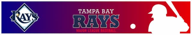 Tampa Bay Rays artwork 4