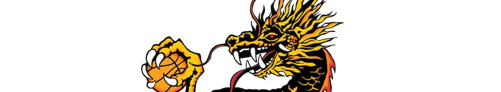 Jiangsu Dragons banner