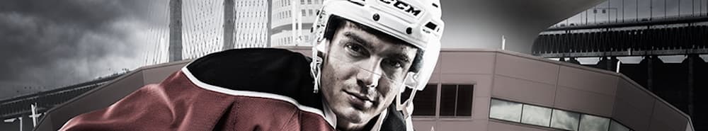 Malmö Redhawks banner