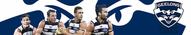 Geelong Football Club artwork 4