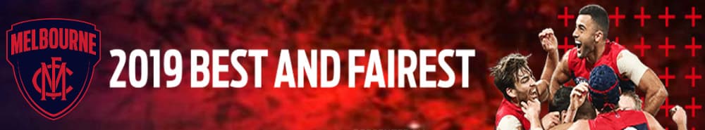 Melbourne Football Club banner