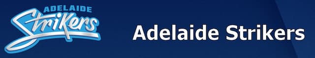 Adelaide Strikers artwork 4