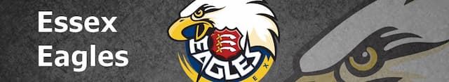 Essex Eagles artwork 4