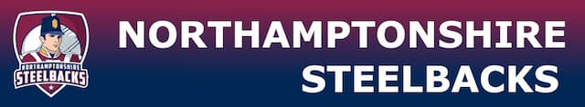 Northamptonshire Steelbacks artwork 4